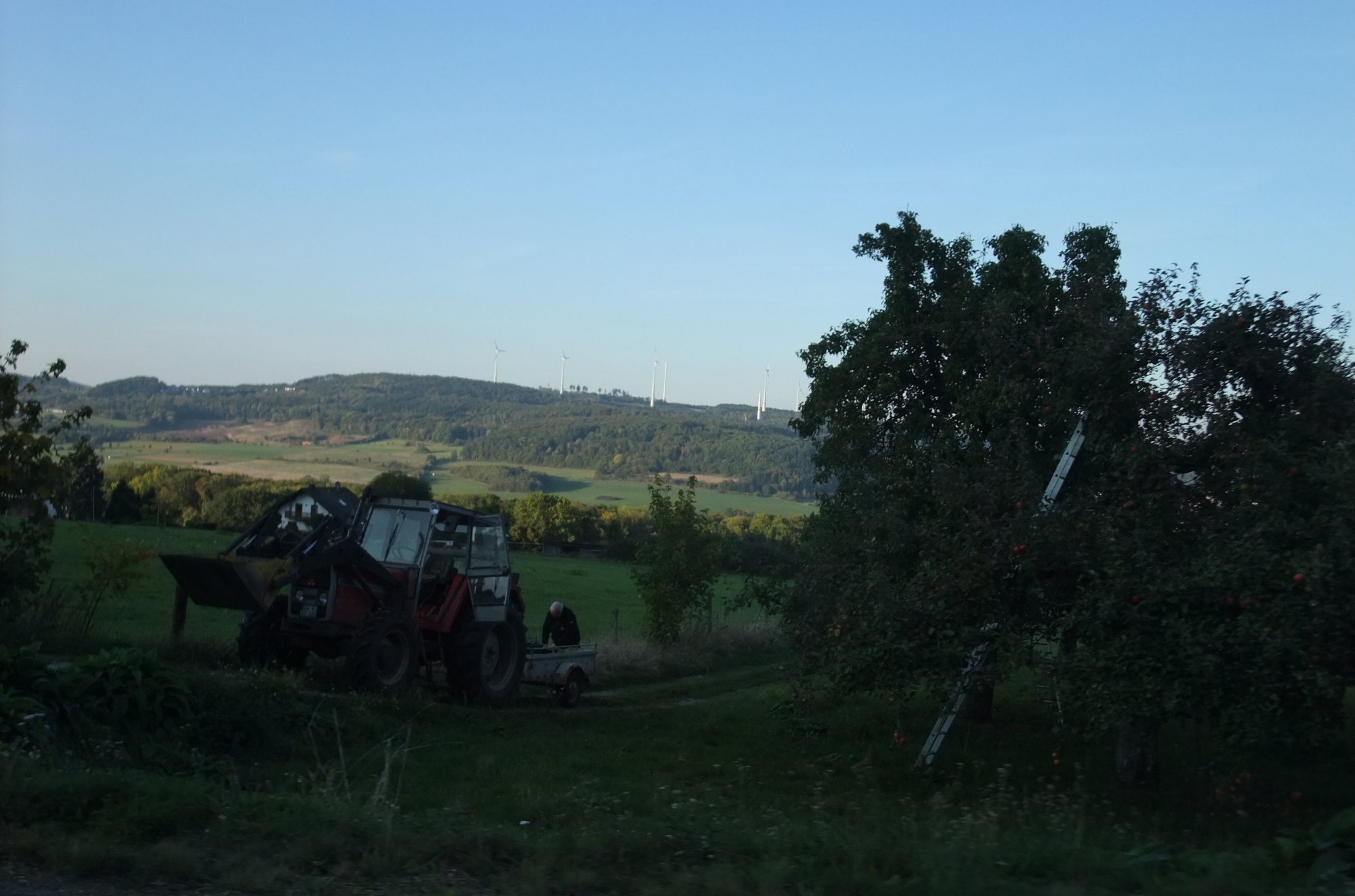 DSCF1011.JPG