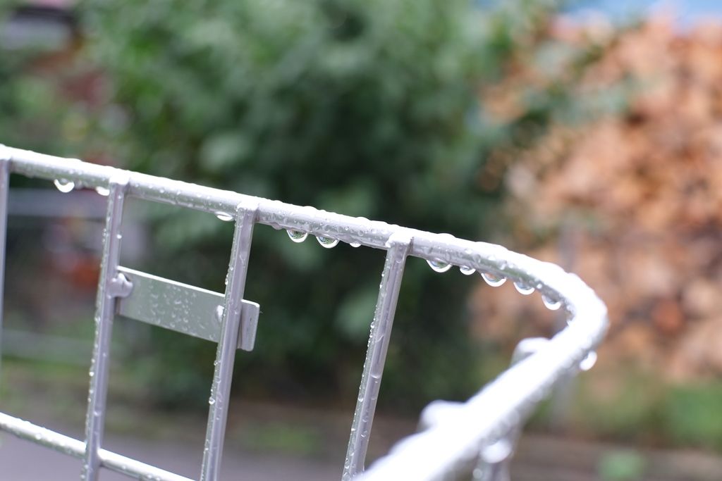DSCF1051.JPG