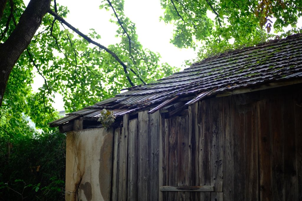 DSCF1072.JPG
