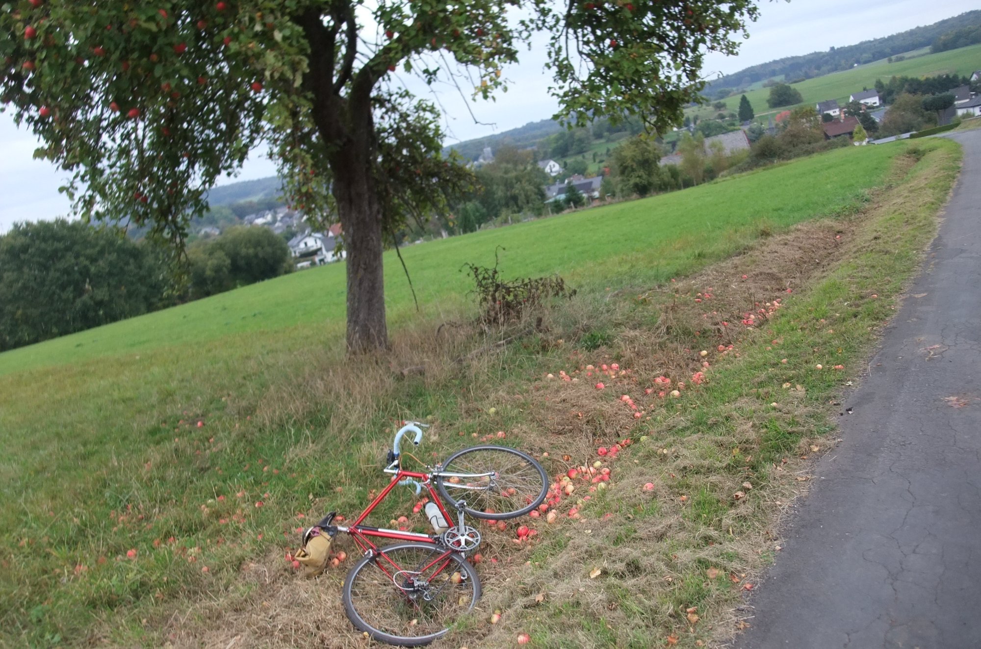DSCF1169.JPG