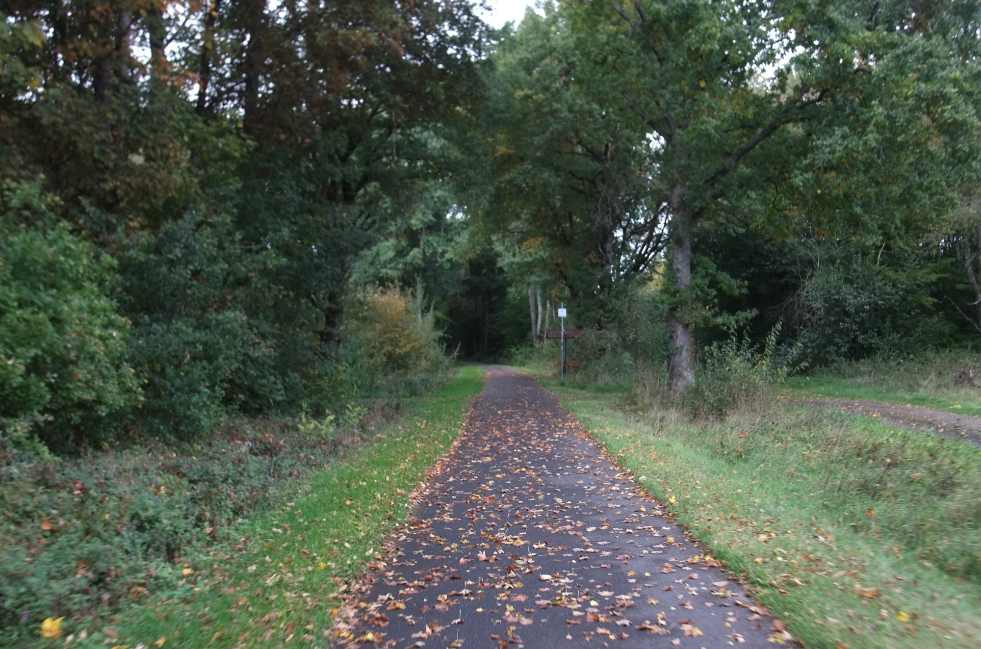 DSCF1179.JPG