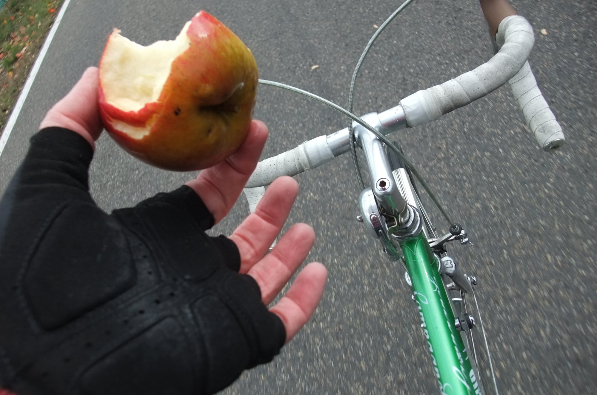 DSCF1188.JPG