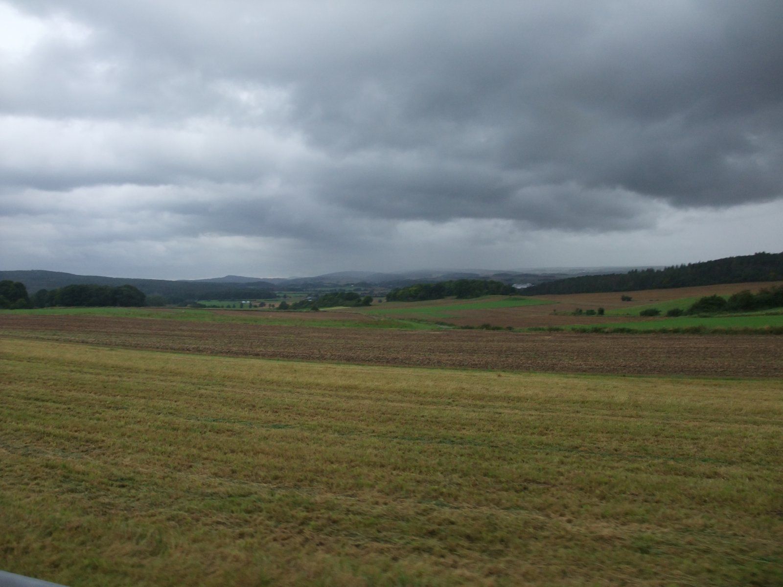 DSCF1208.JPG