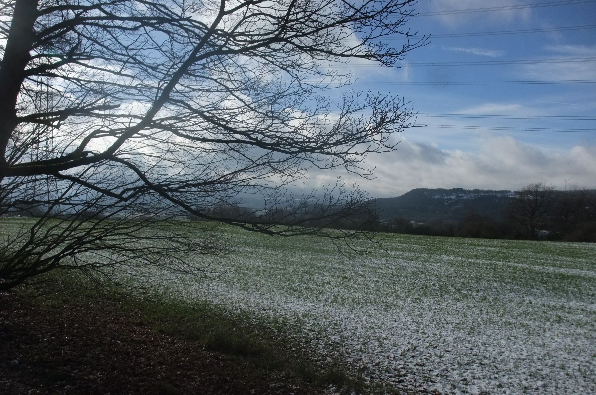 DSCF1215.JPG