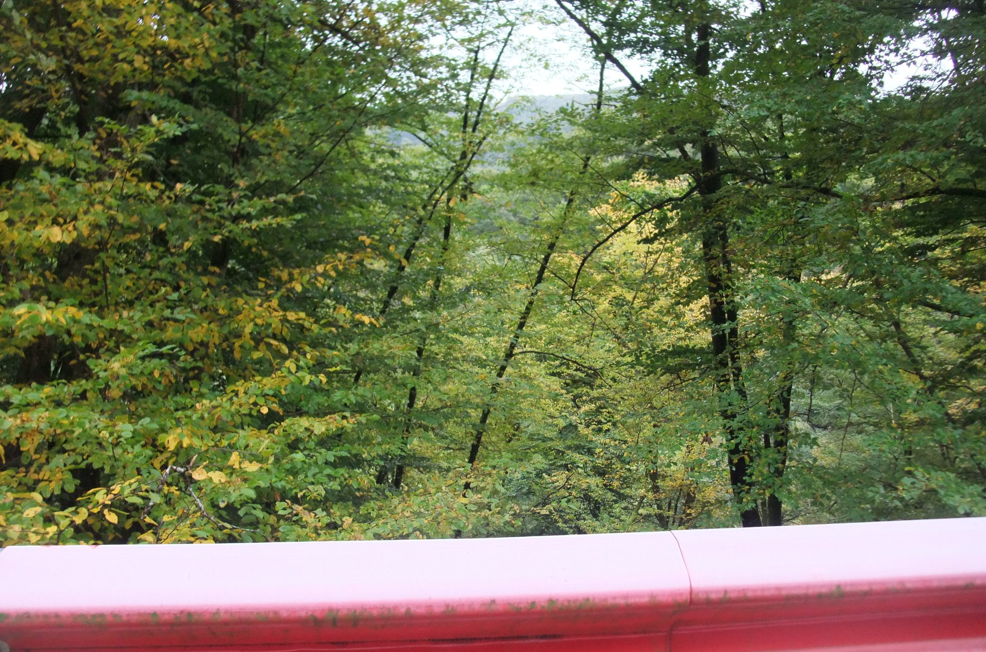DSCF1217.JPG