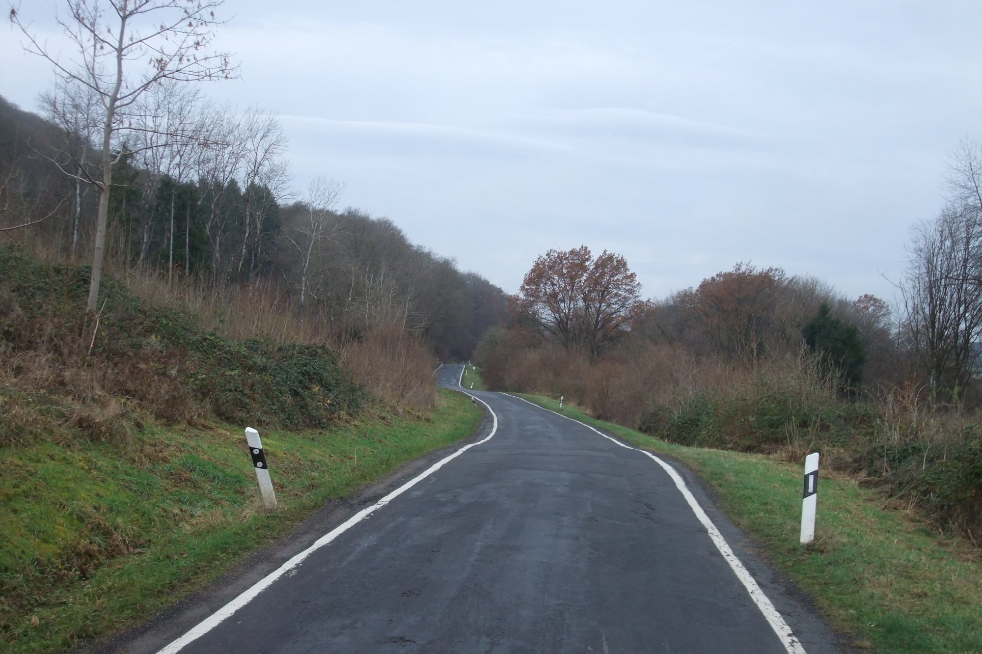 DSCF1261.JPG