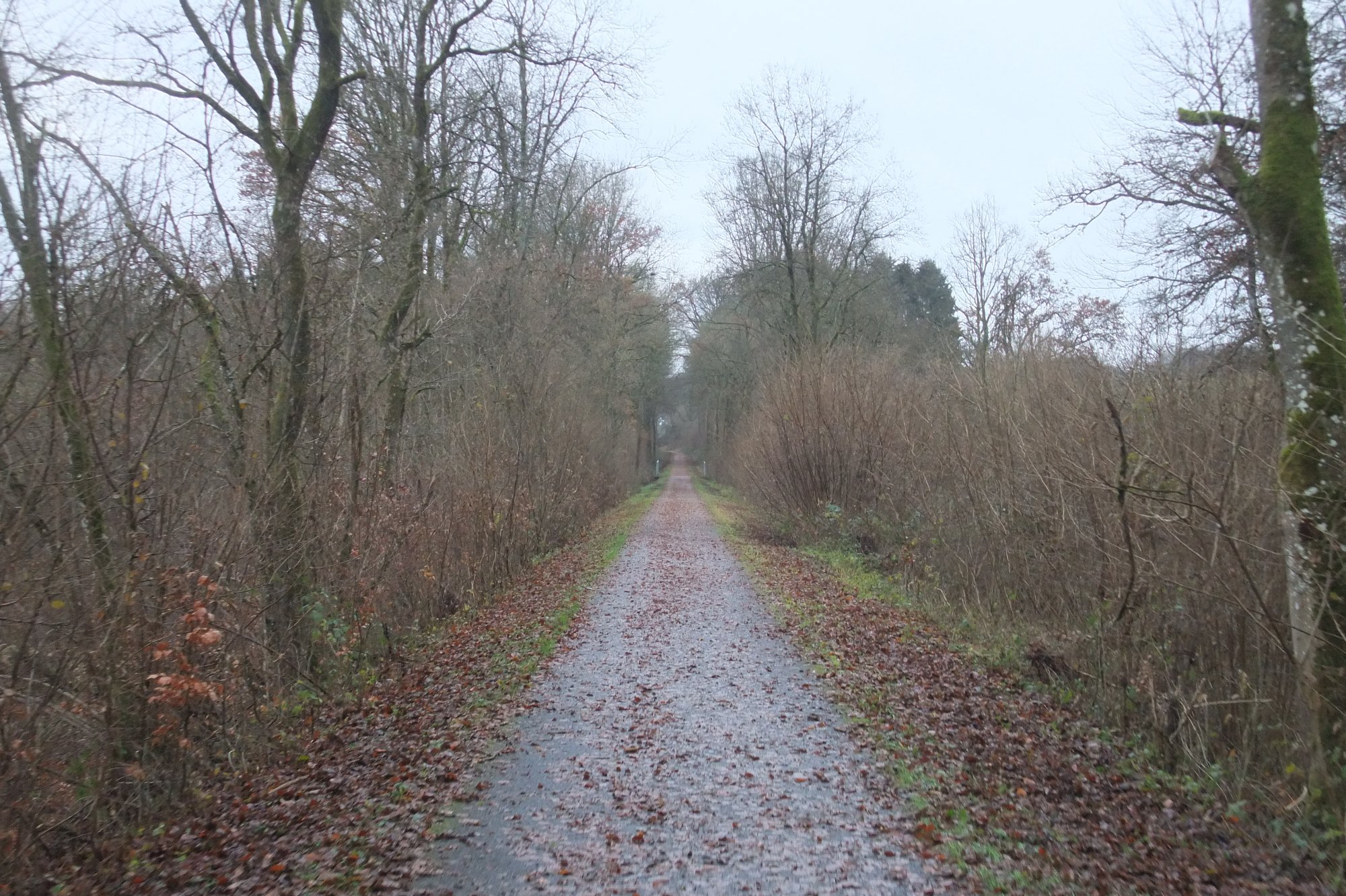 DSCF1270.JPG