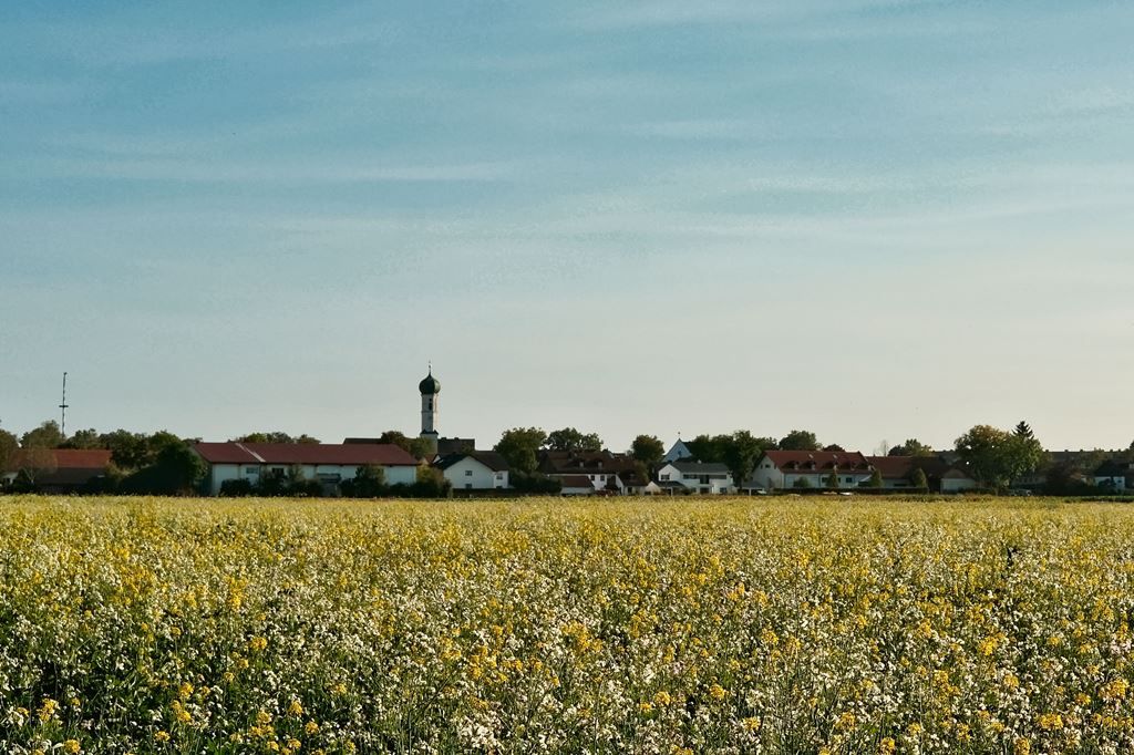DSCF1295.jpg