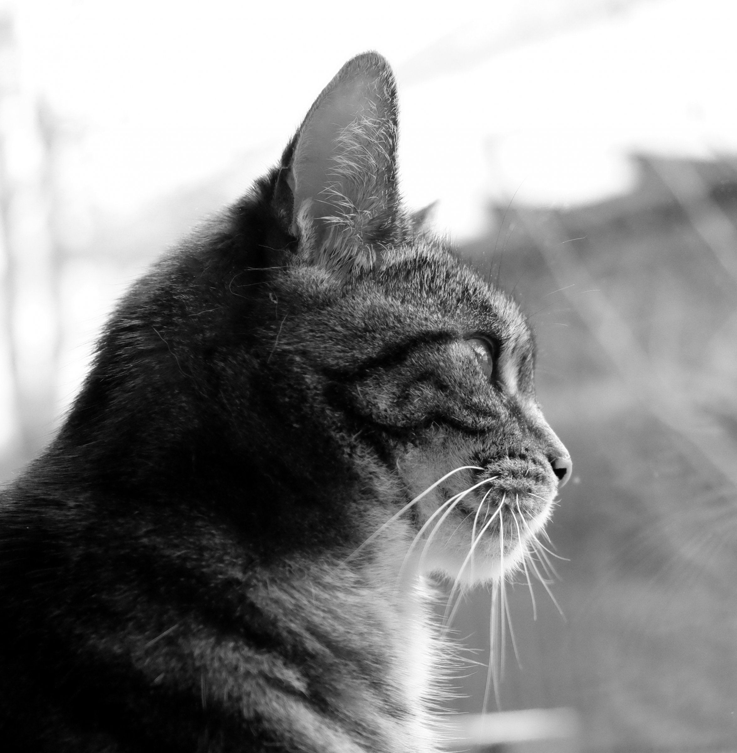 DSCF1528.JPG