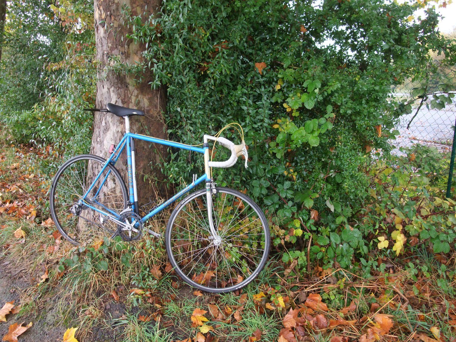 DSCF1682.JPG