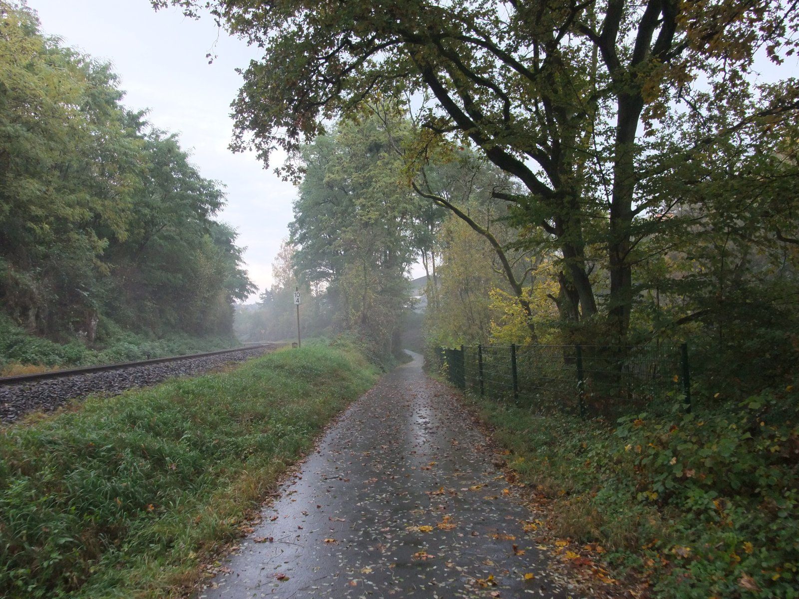 DSCF1683.JPG