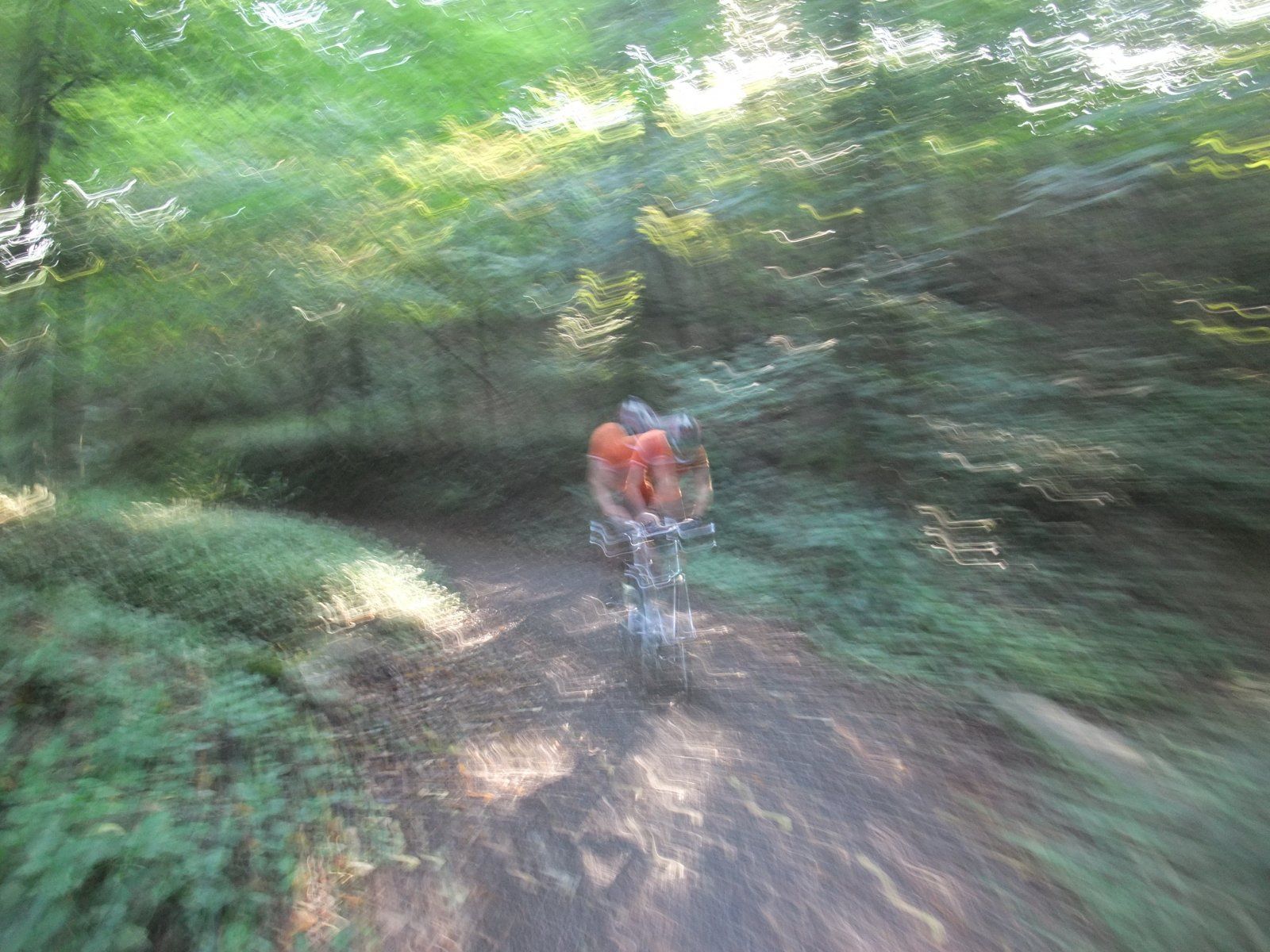 DSCF1683.JPG