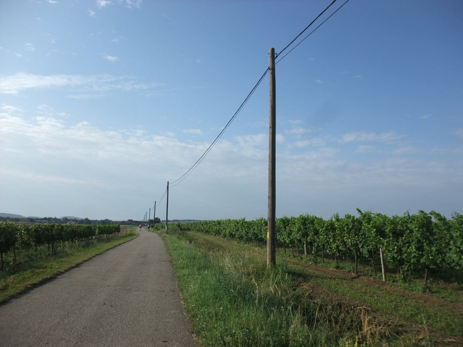 DSCF1689.JPG