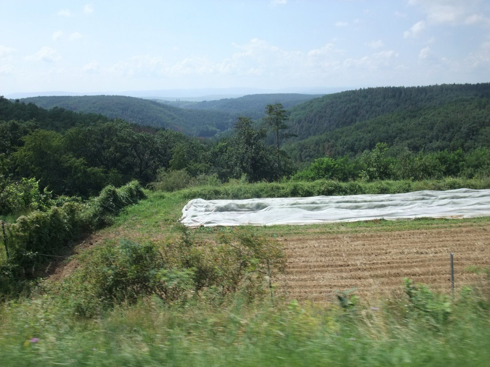 DSCF1741.JPG