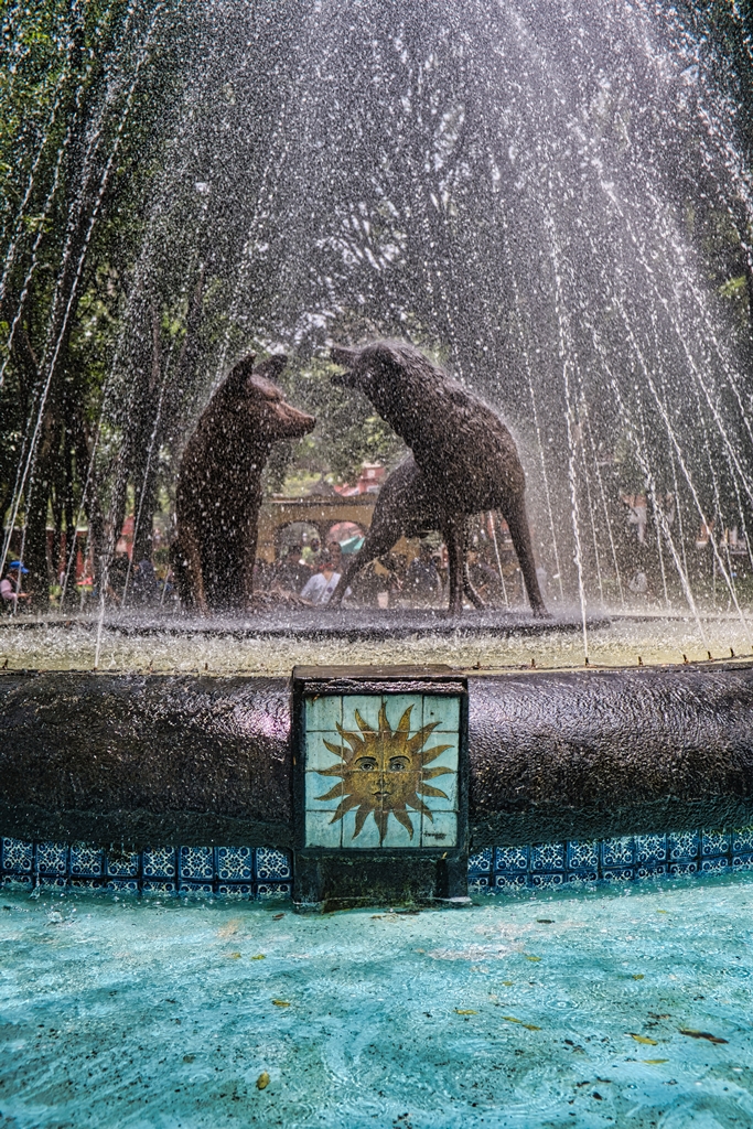 DSCF1842-ne.jpg