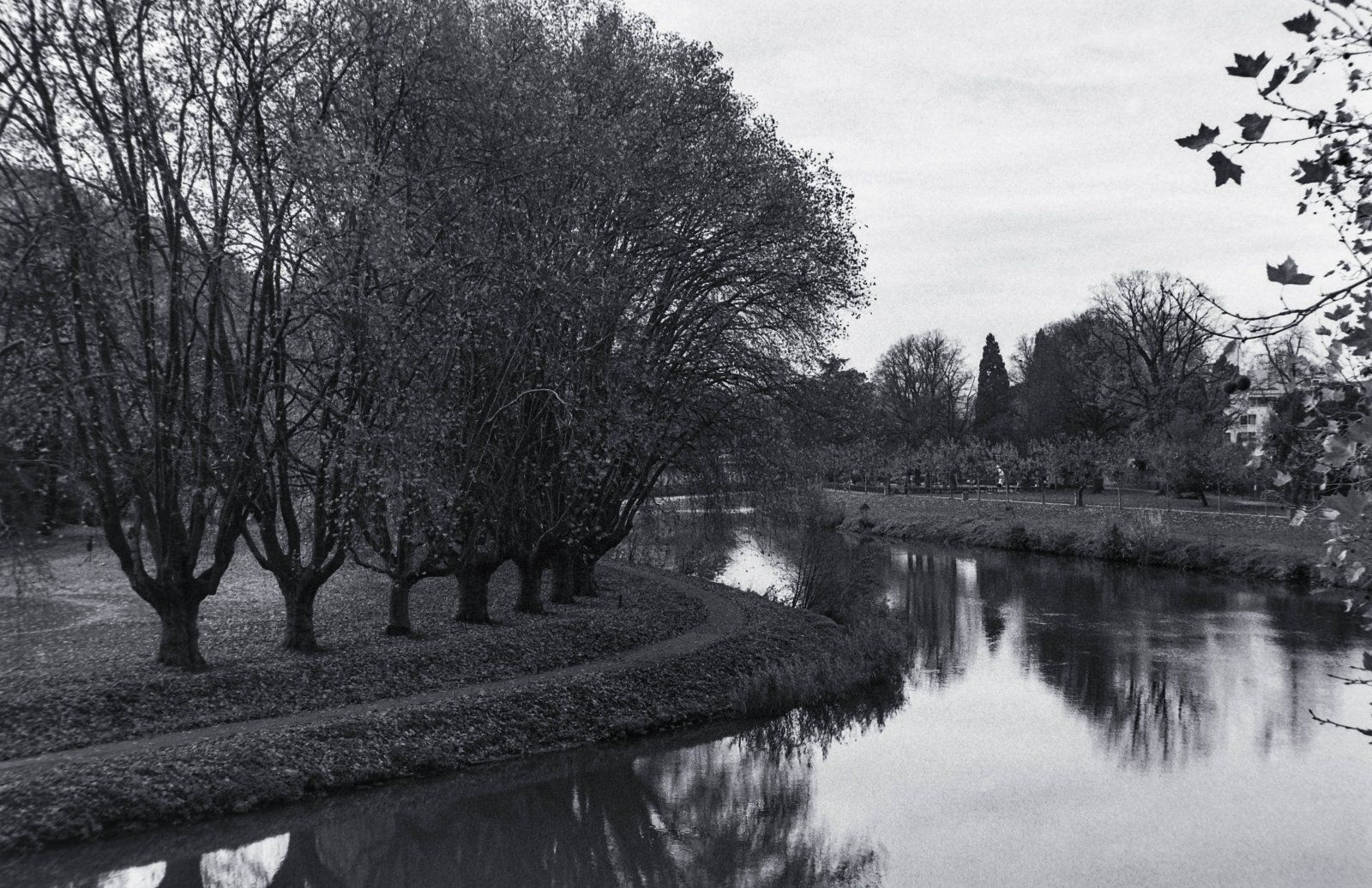 DSCF2096.jpg