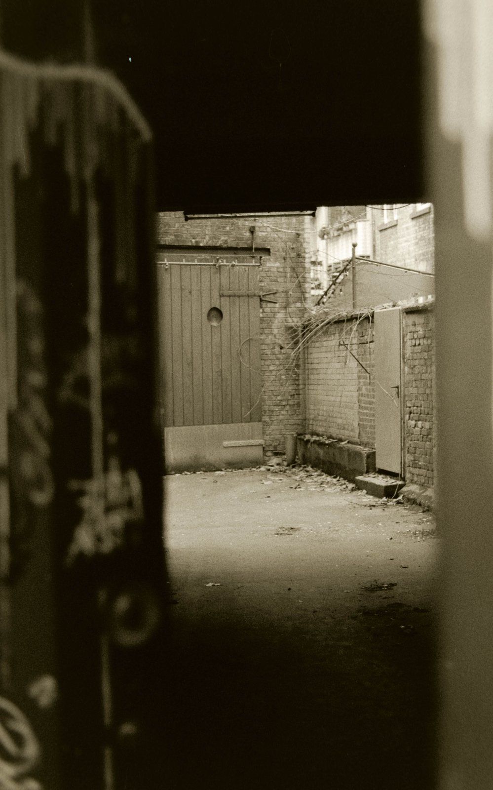 DSCF2103.jpg