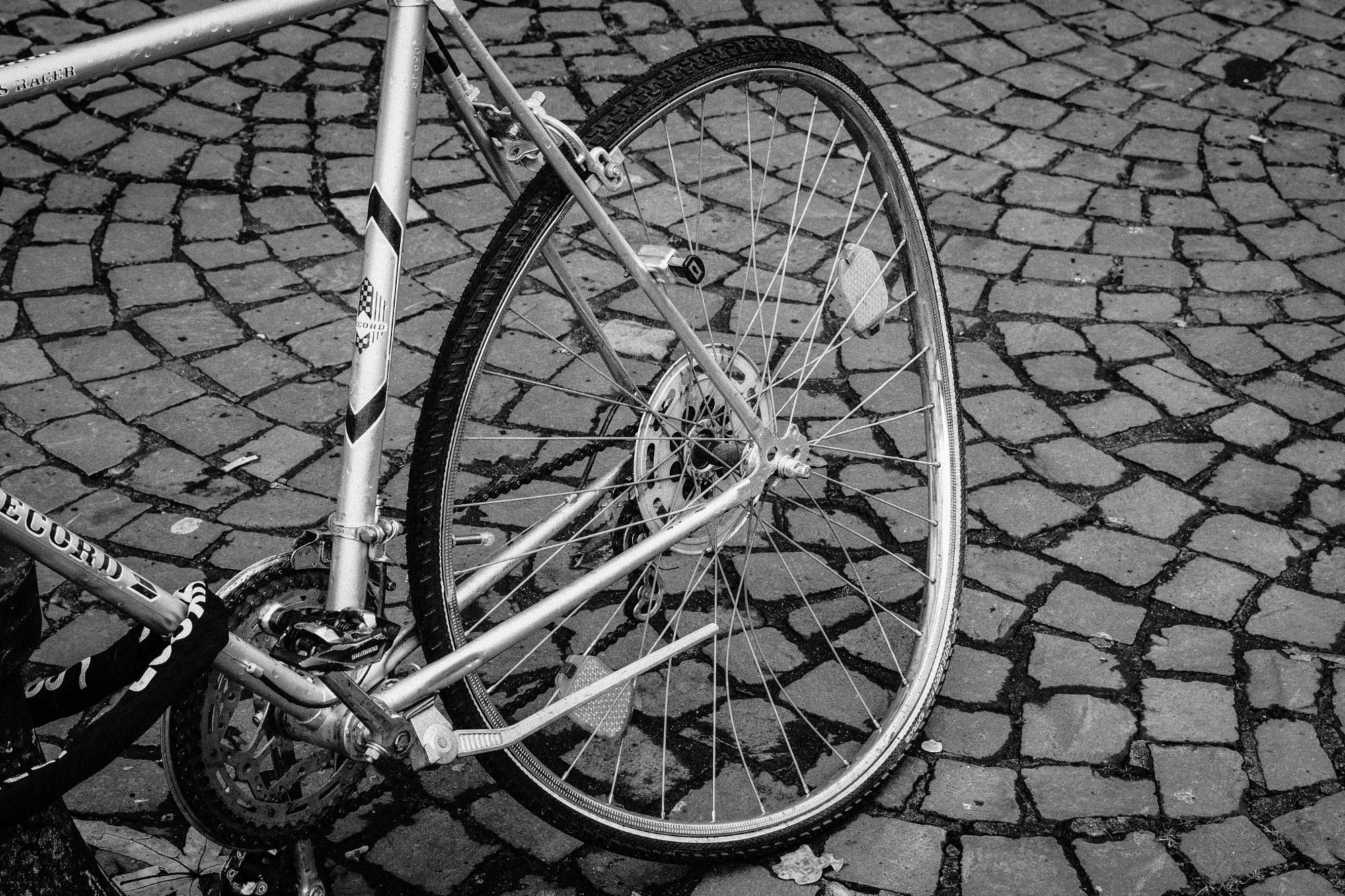 DSCF2105.jpg