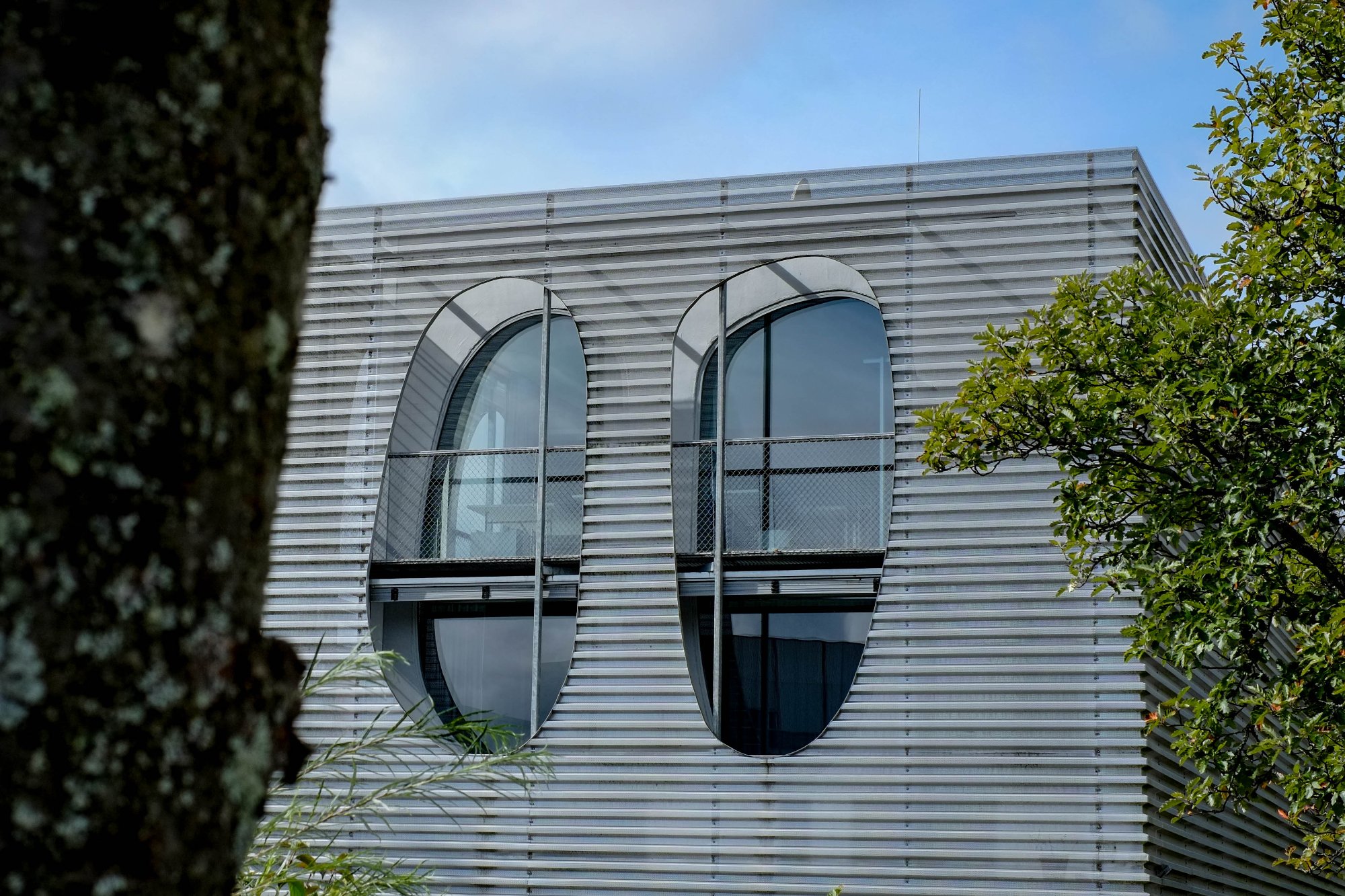 DSCF2154-2.jpg