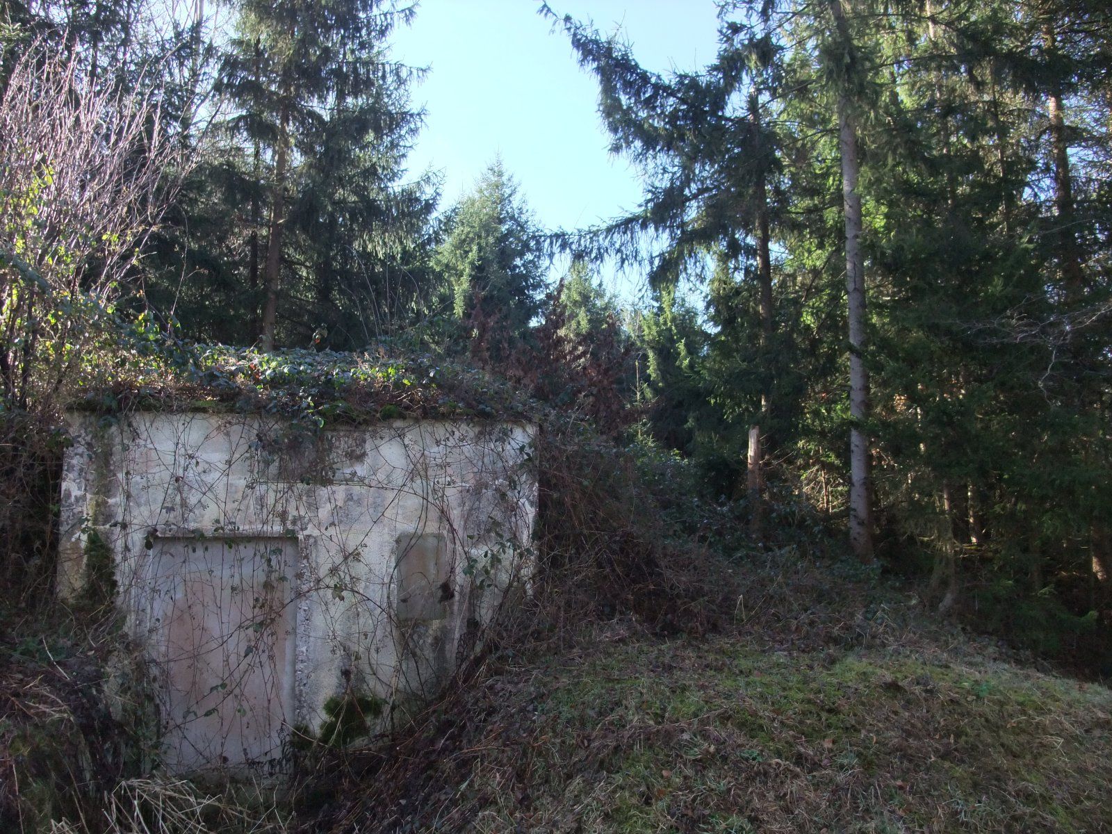 DSCF2156.JPG