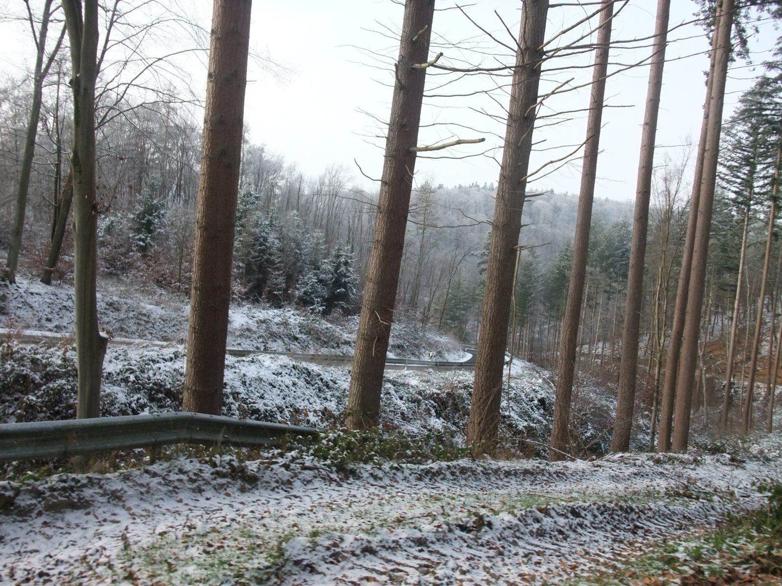 DSCF2159.JPG