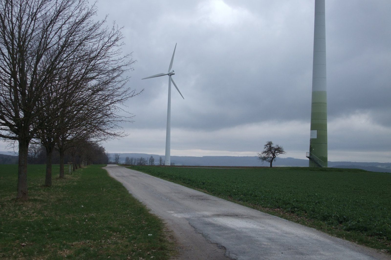 DSCF2212.JPG