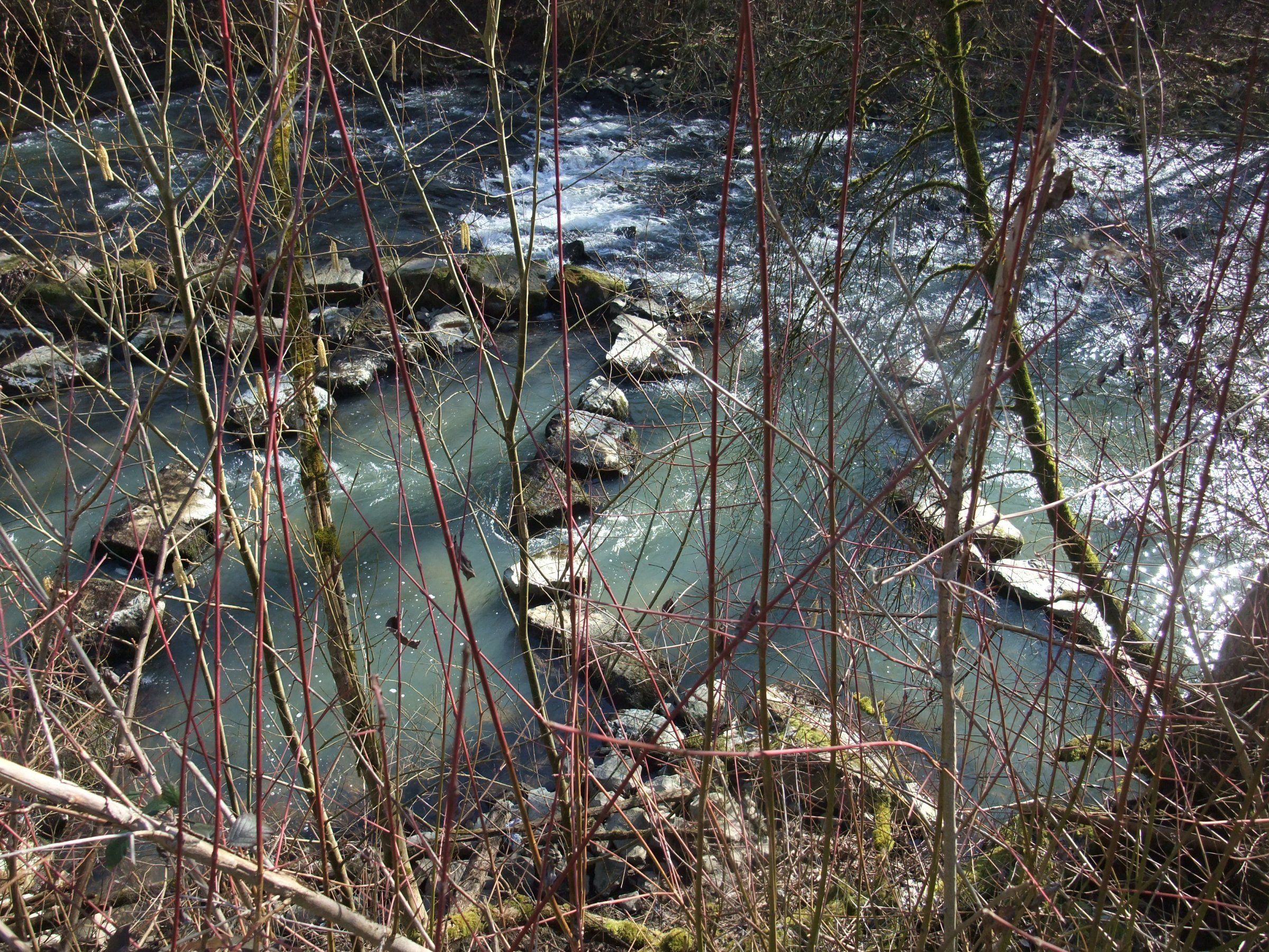 DSCF2244.JPG