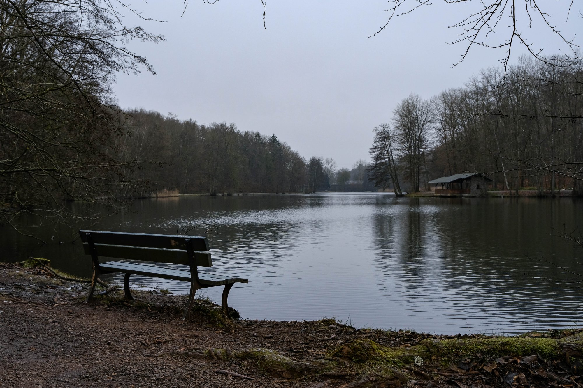 DSCF2278.jpg