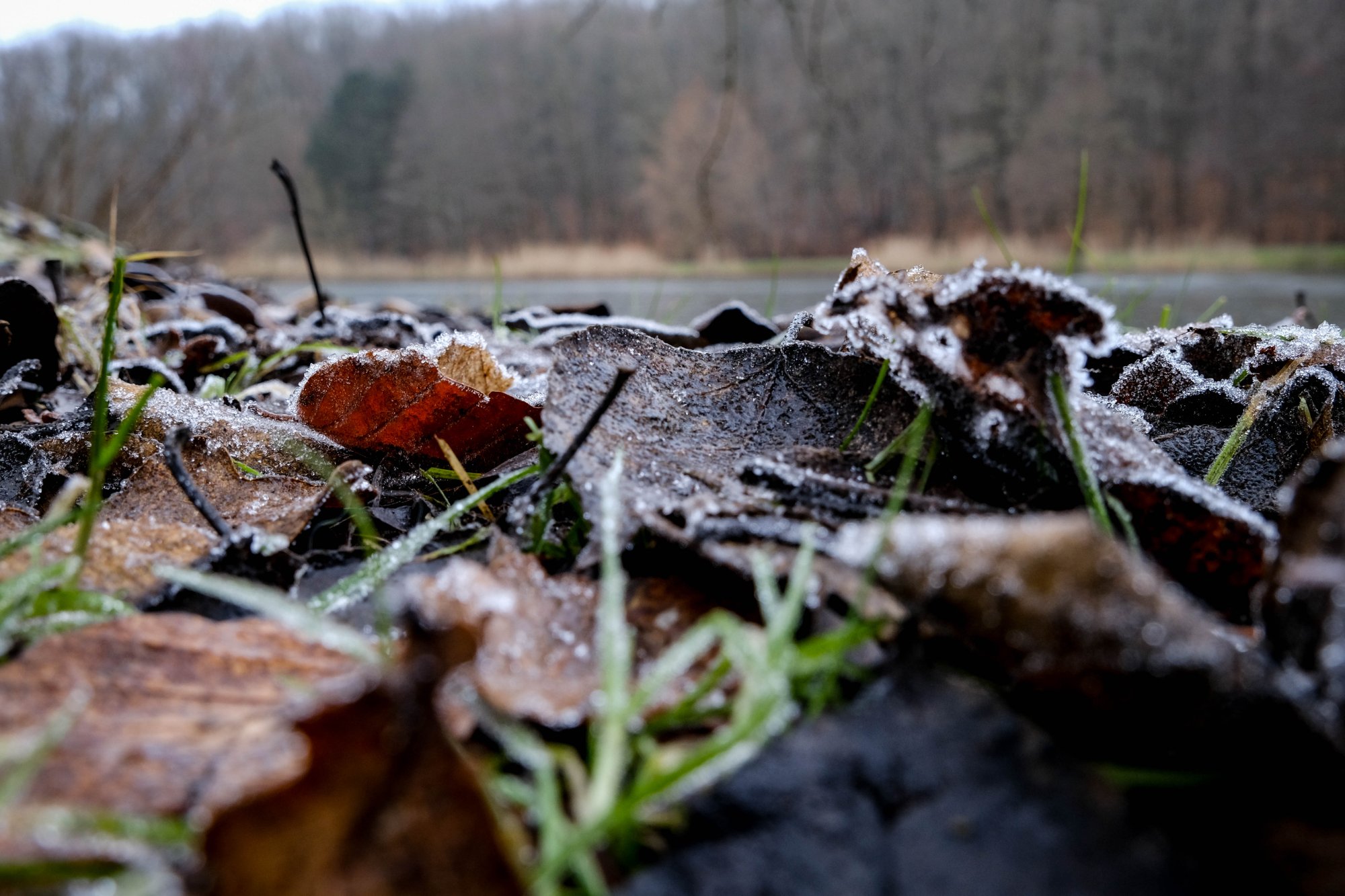 DSCF2281.jpg