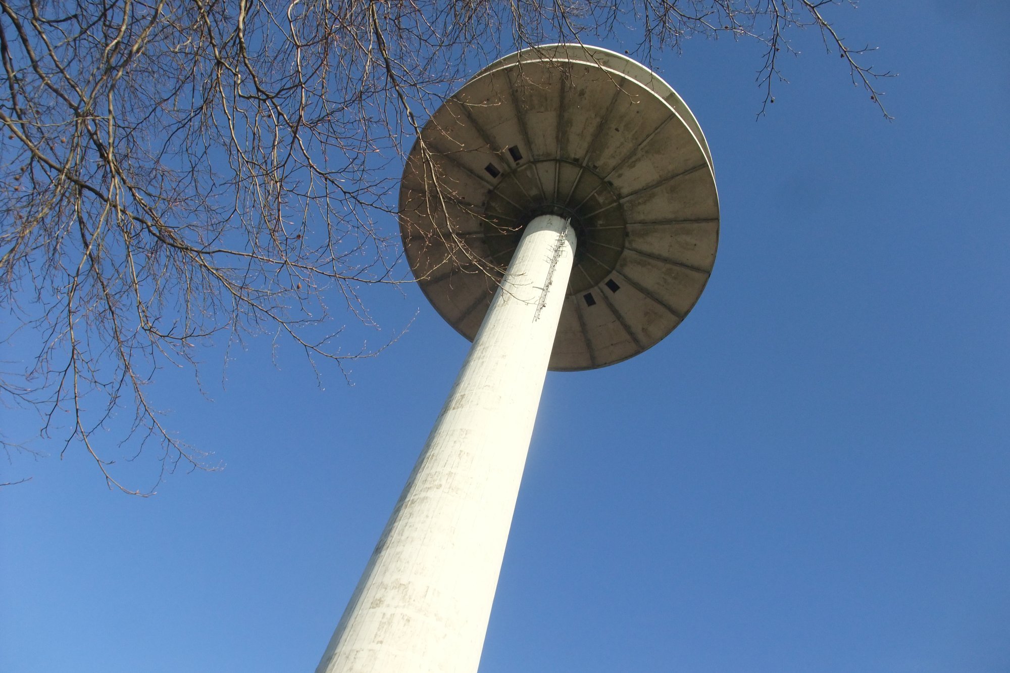 DSCF2446.JPG