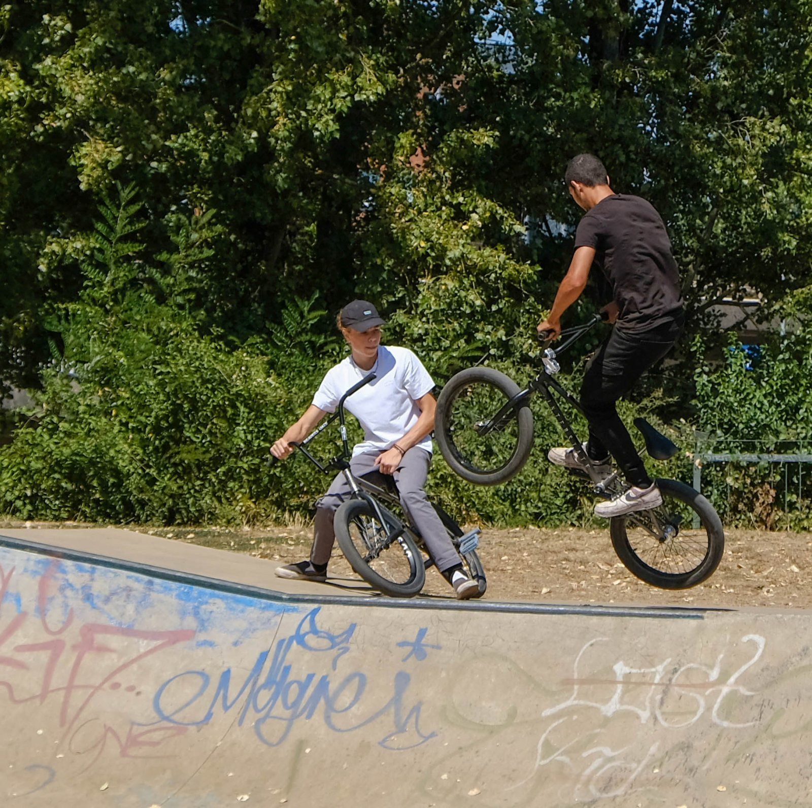 DSCF2493.jpg