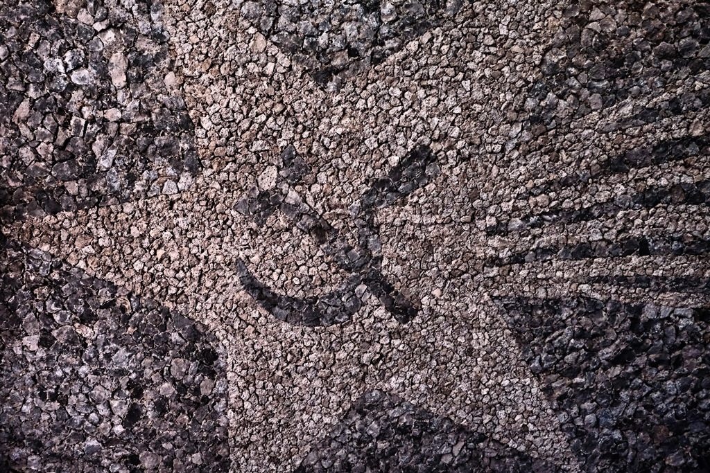 DSCF2568-b.jpg