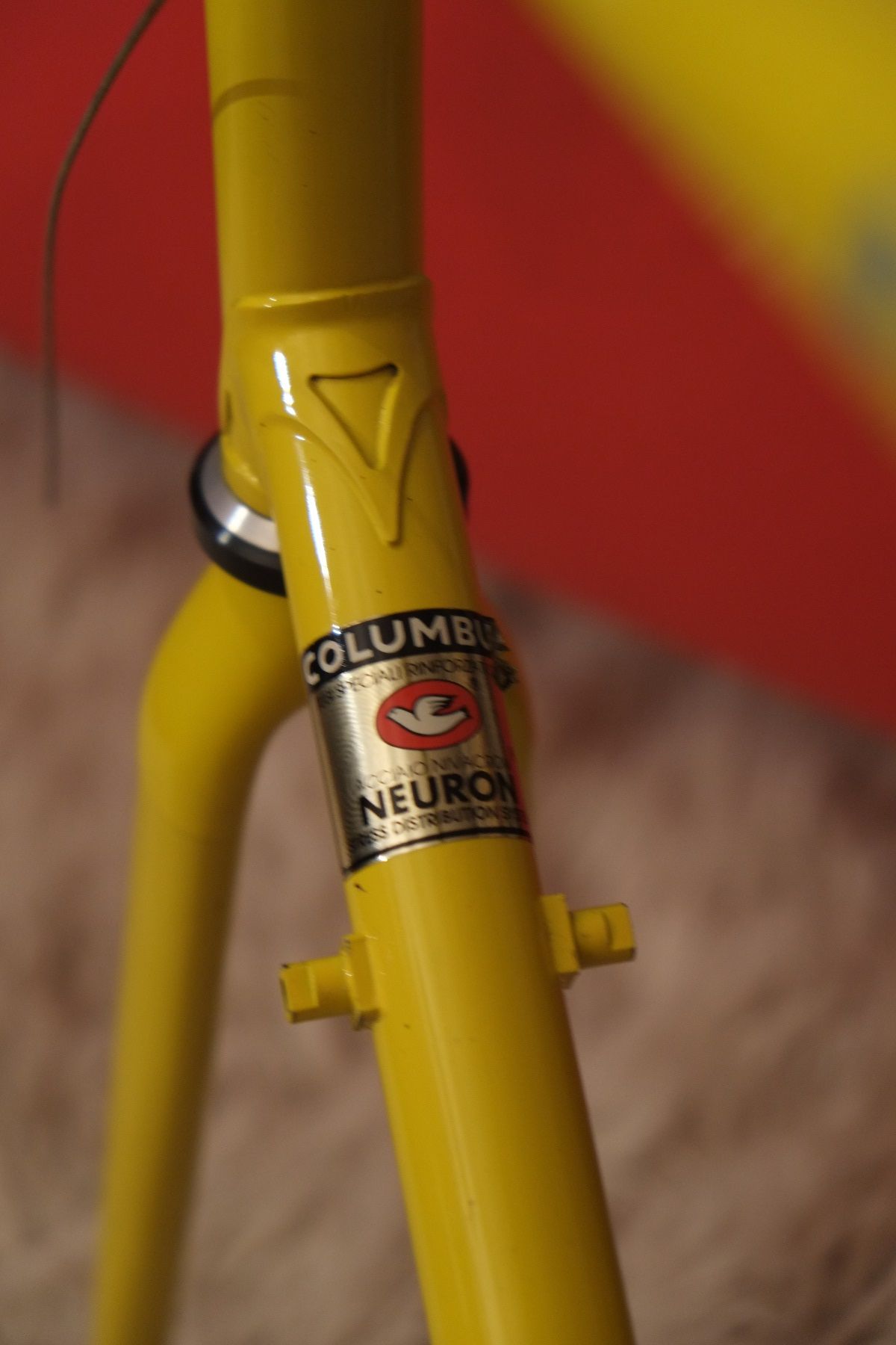 DSCF2630 - Kopie.JPG