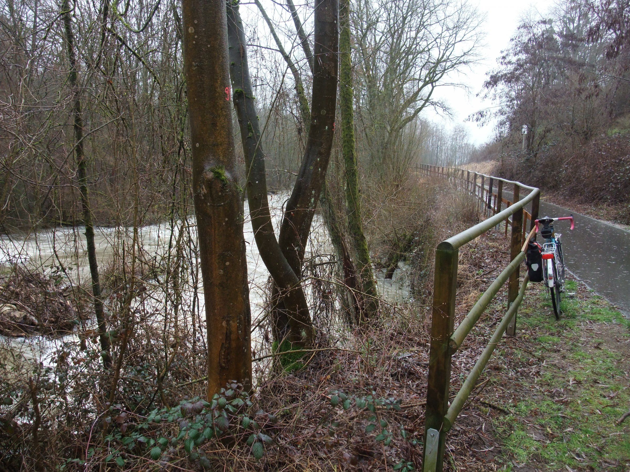 DSCF2774.JPG