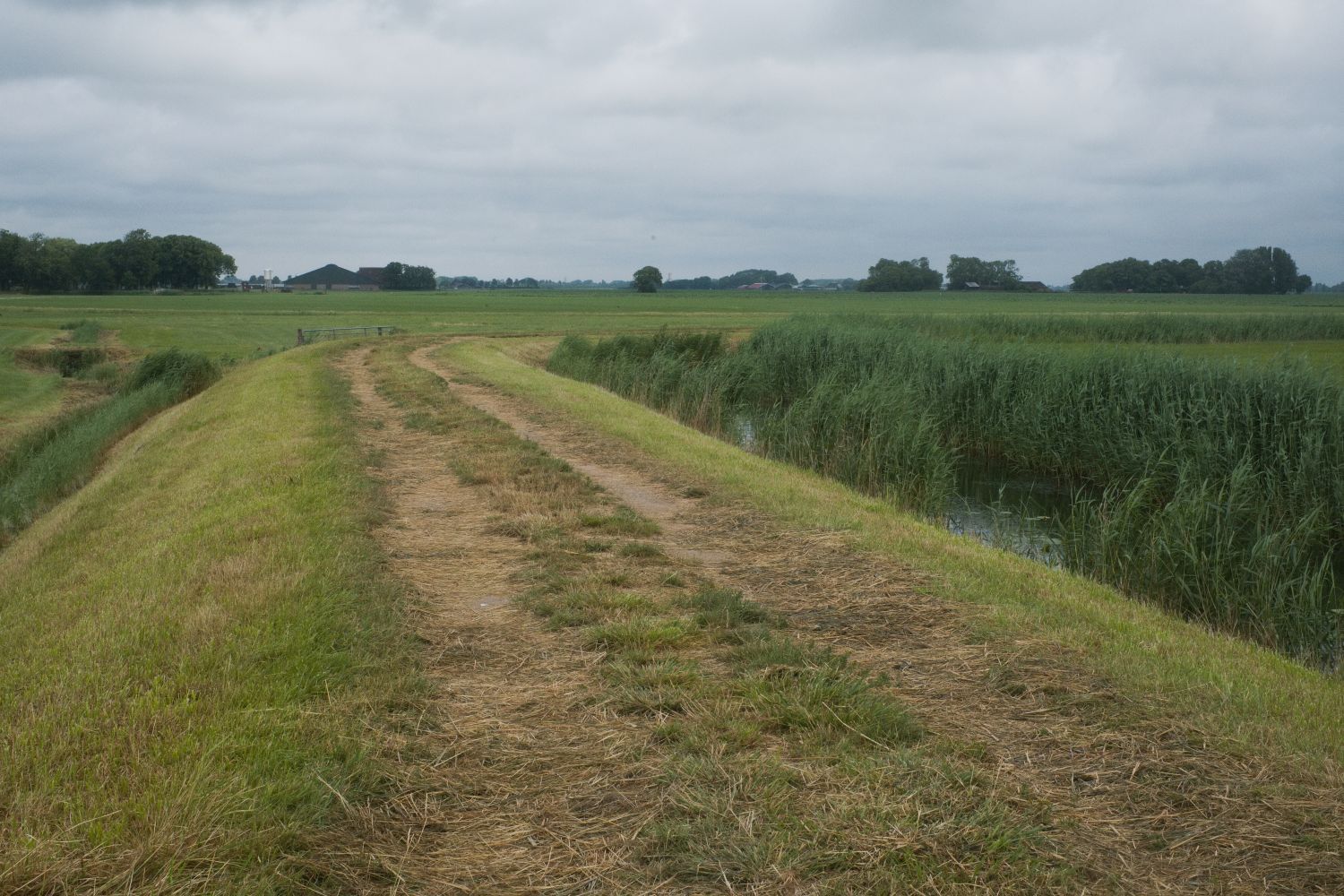 DSCF2832.jpg