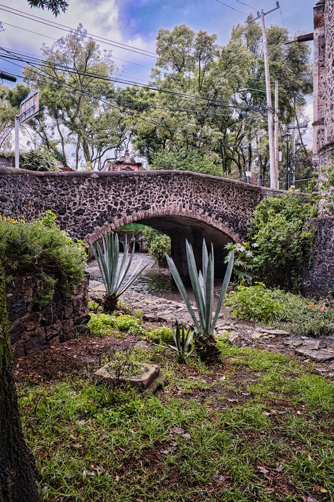 DSCF2869-ne.jpg