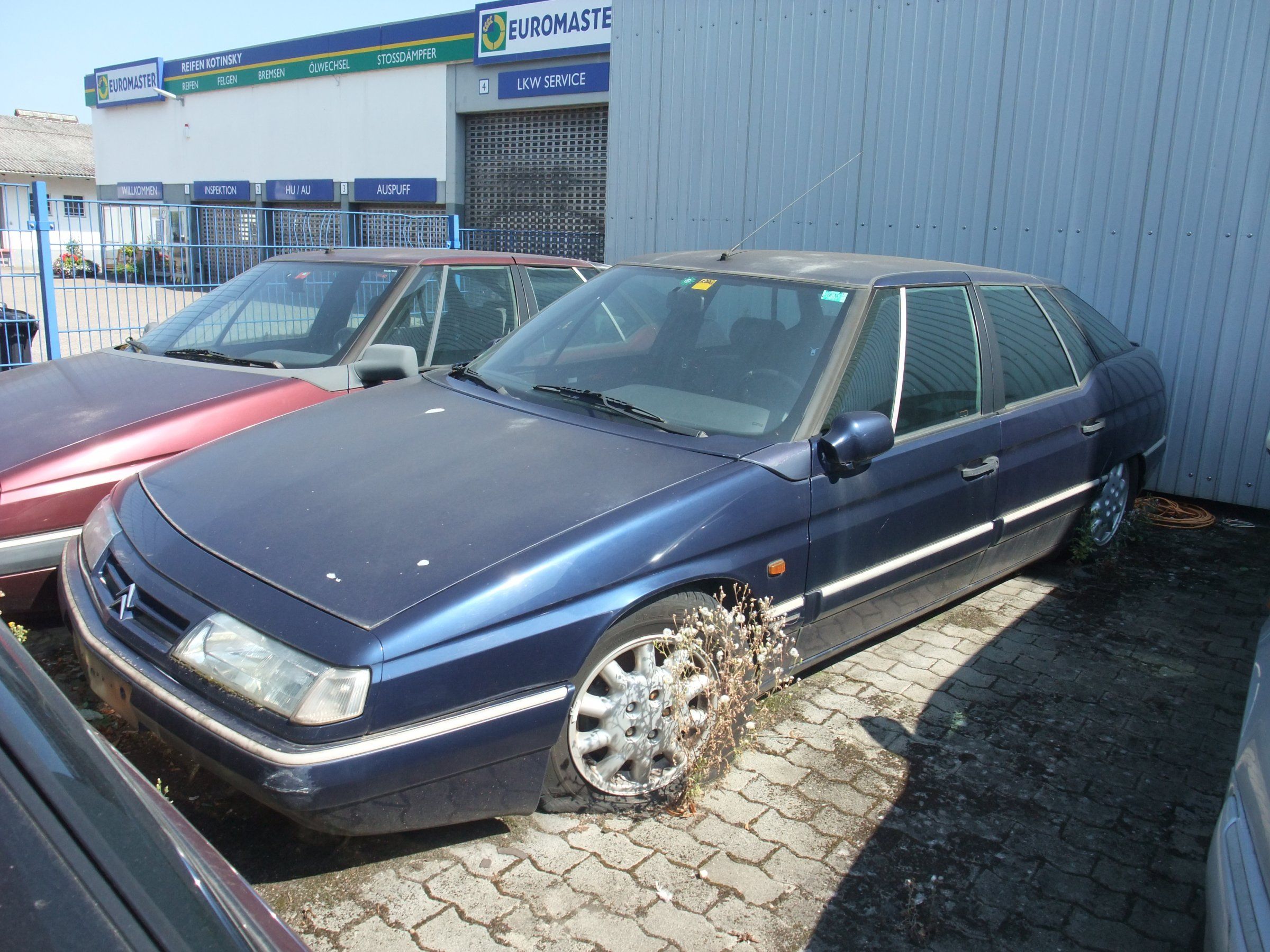 DSCF2899.JPG