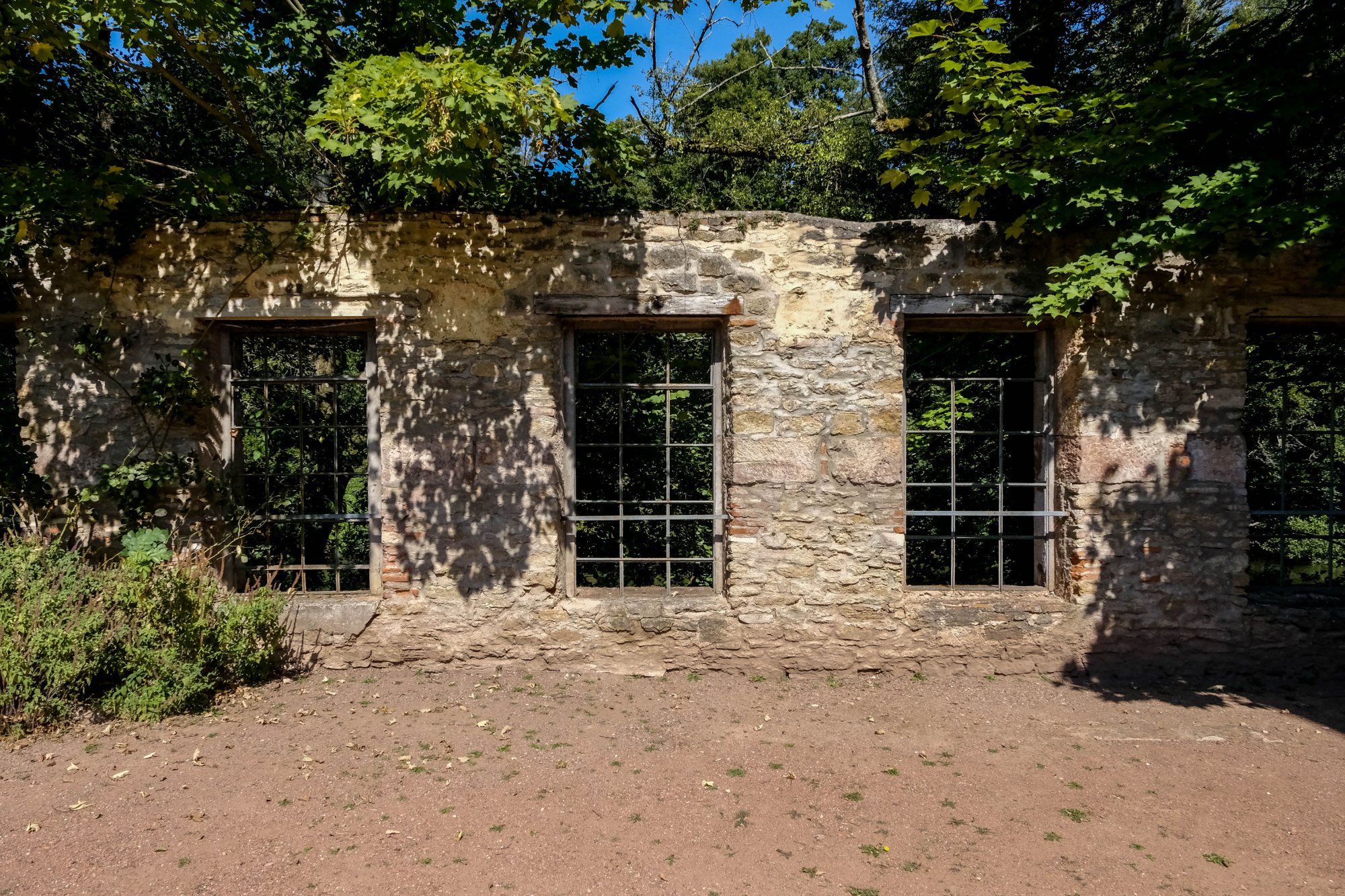 DSCF2928.jpg