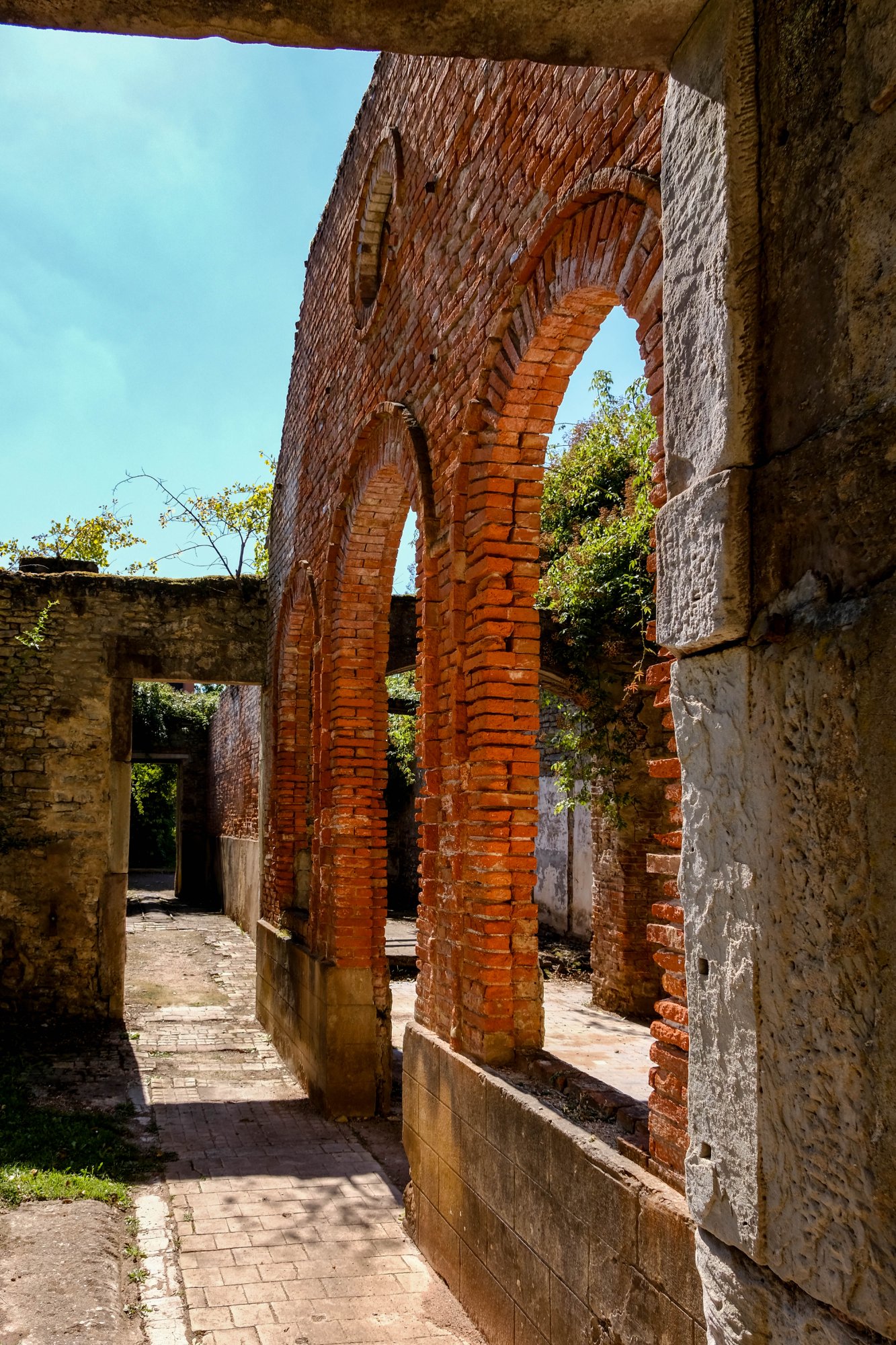 DSCF2936.jpg