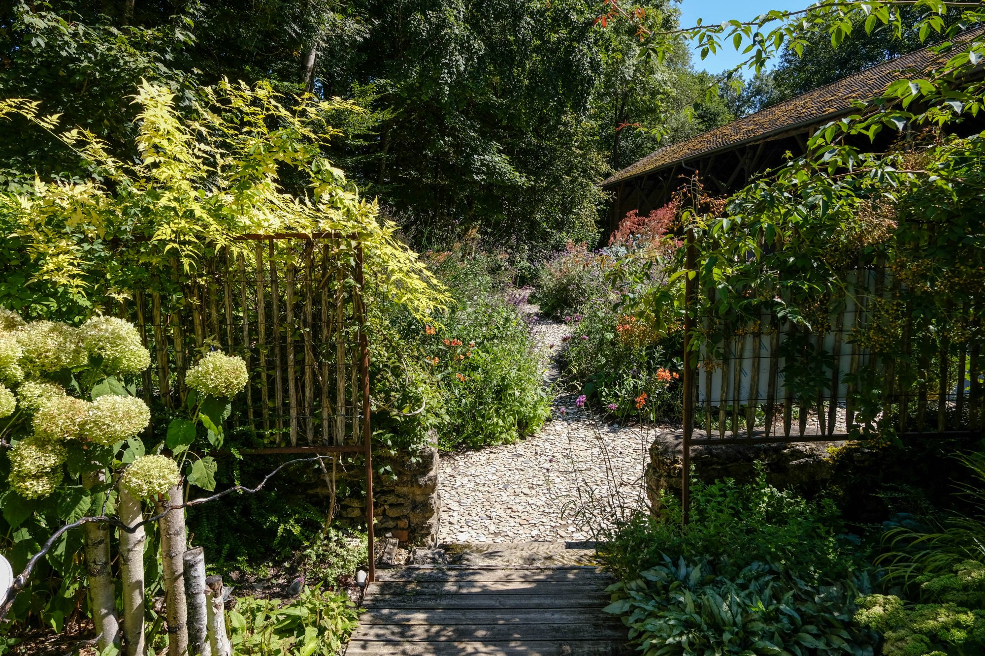 DSCF2948.jpg