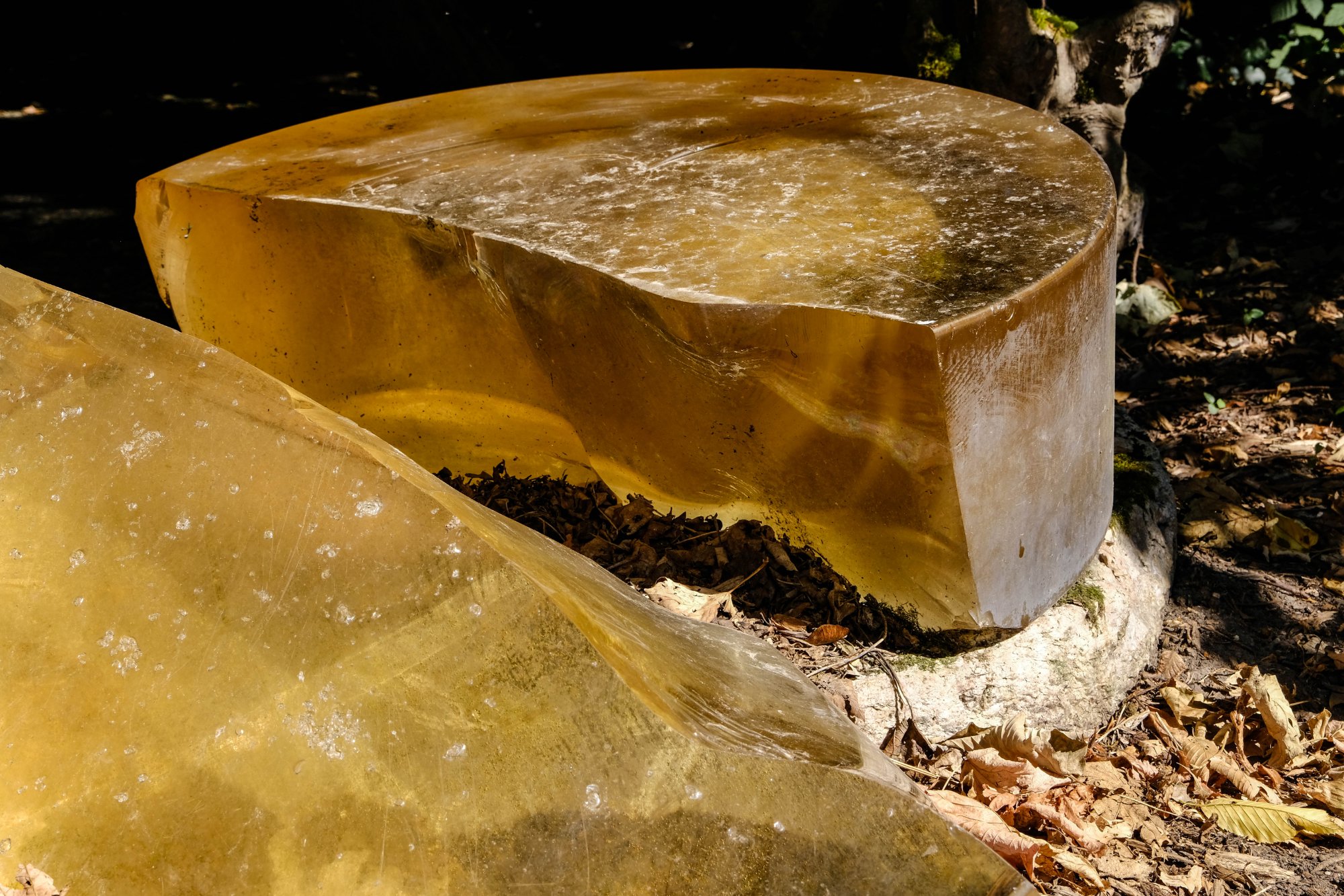 DSCF2977.jpg