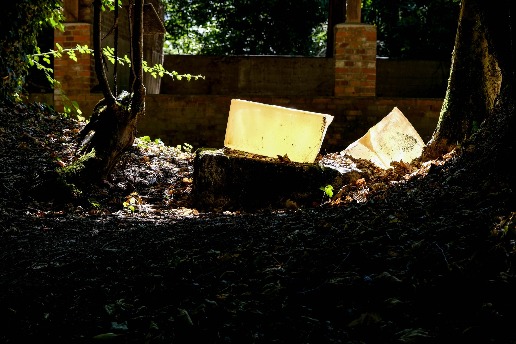 DSCF2984.jpg