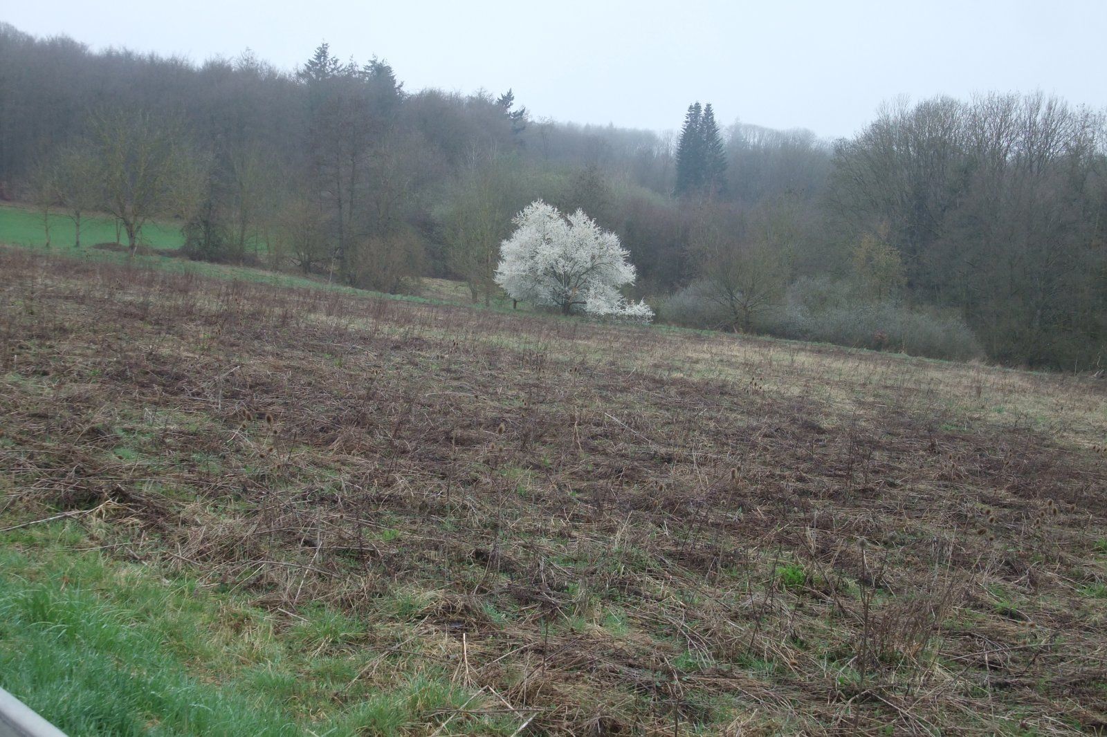 DSCF2994.JPG