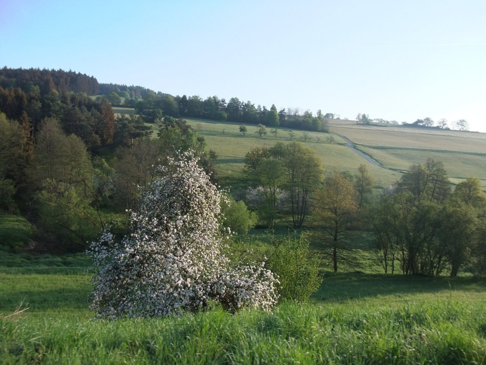 DSCF3034.JPG