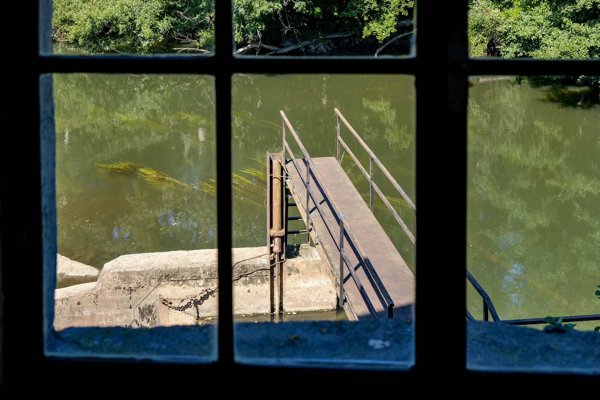 DSCF3051.jpg