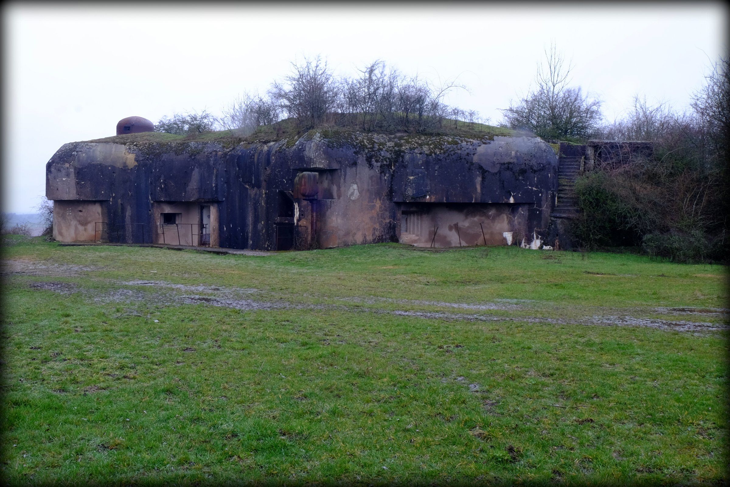 DSCF3057.JPG