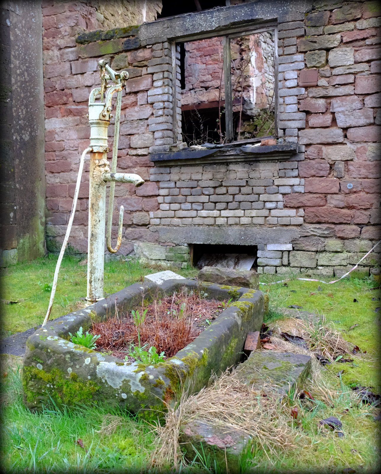 DSCF3090.JPG