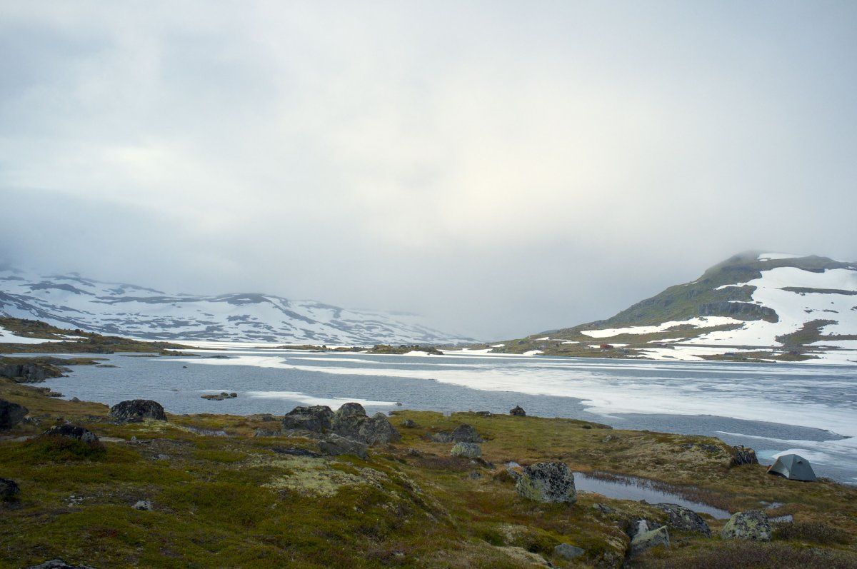 DSCF3137.jpg