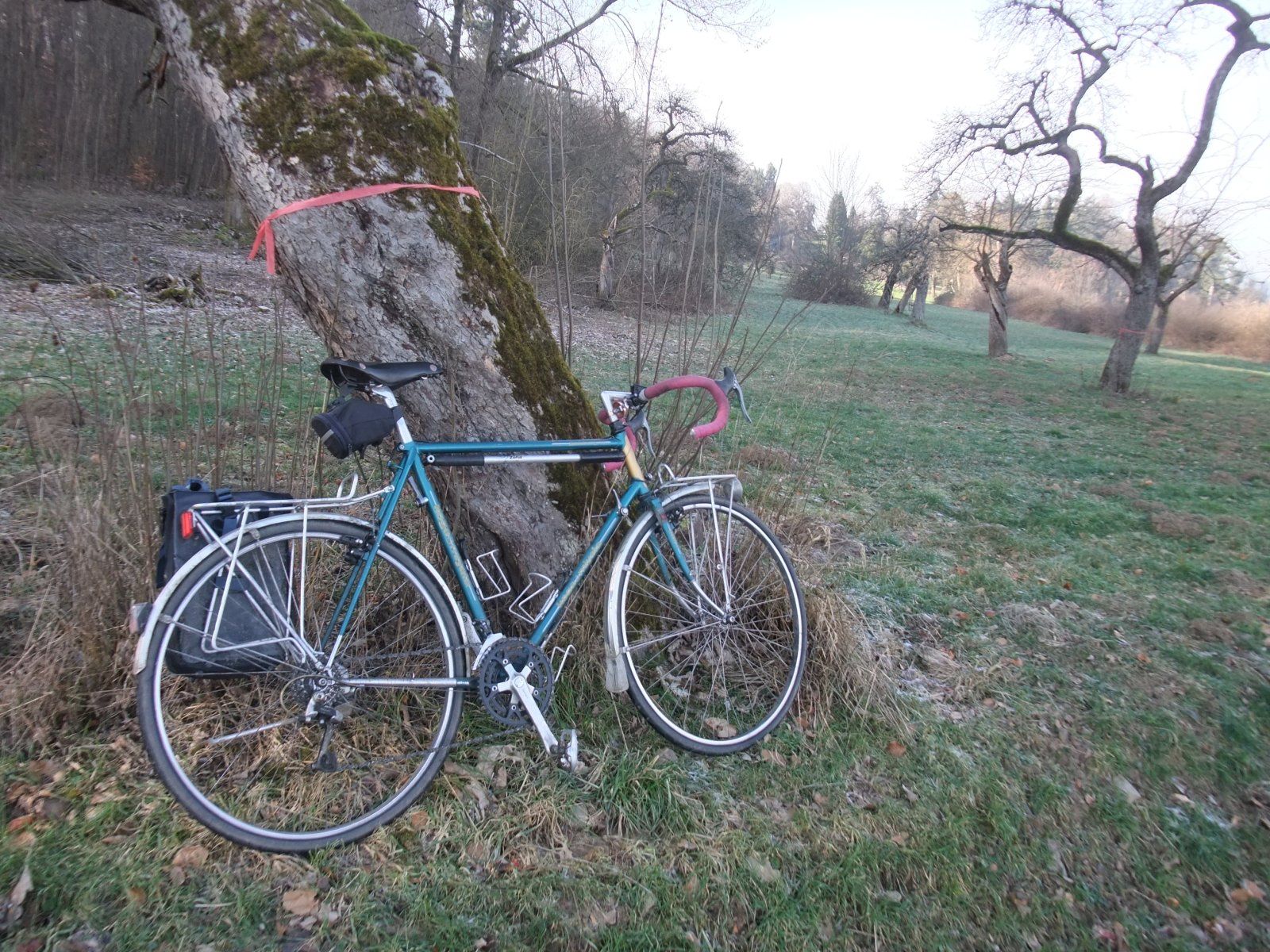 DSCF3147.JPG DSCF3147.JPG