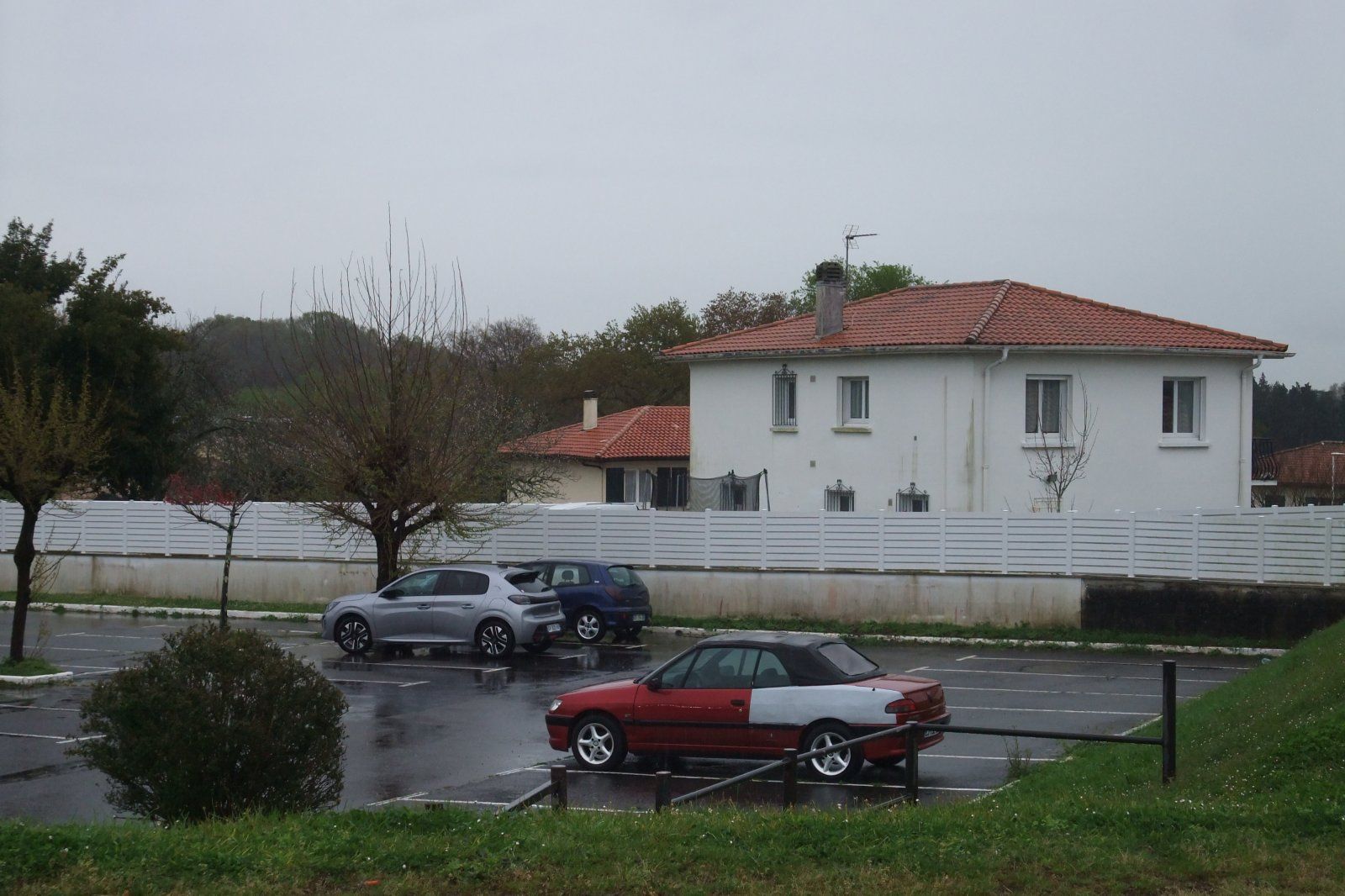 DSCF3450.JPG